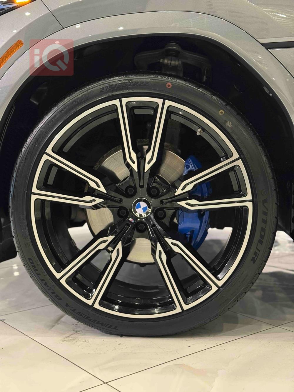 بي ام دبليو X6